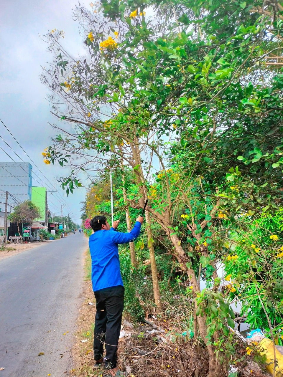 NGÀY CHỦ NHẬT XANH